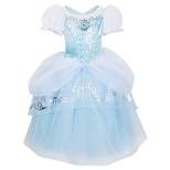 Disney Princess Cinderella Costume
