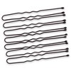 Pro Basic Hair Pins - Black by Marianna for Women - 1 lb Hair Clips - 2 of 4