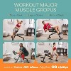 Lifepro Roman Chair Hyperextension Bench - Adjustable Back Extension Machine for Glutes, Hamstrings, and Lower Back, Foldable for Home Gym Fitness - 4 of 4