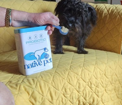 Guest review image 2 of 2, zoom in