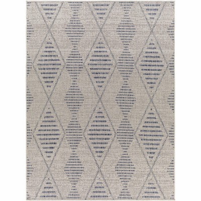 Hauteloom Pagatin Indoor & Outdoor Rug