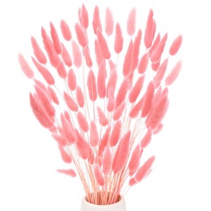 Unique Bargains Artificial Dried Flowers Realistic Look Pampas Bunny Tails Grass 17 Inch - 1 of 4
