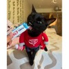 Inaba Churu Tuna and Chicken Flavor Variety Pack Lickable Cat Treats - 25oz/50ct - 3 of 4
