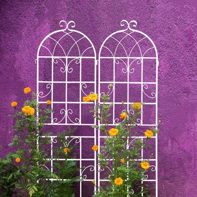 Aghana Digitals 2-Pack 71"x19.7" Cream White Rustproof Metal Trellis for Climbing Plants Outdoor