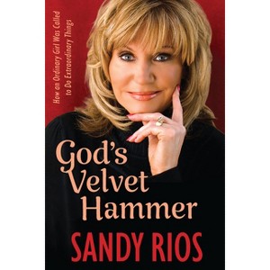 God's Velvet Hammer - by  Sandy Rios (Hardcover) - 1 of 1