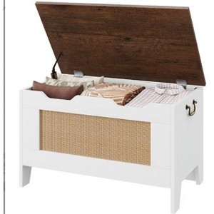 25/30/40 Inch Wooden Toy Chest for Kids, Large Storage Bench with Safety Hinge, Toy Box for Boys and Girls, Entryway, Living Room, Bedroom, Playroom - 1 of 4