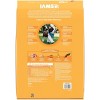 IAMS Proactive Health Chicken Flavor Large Breed Puppy Dry Dog Food - image 2 of 4