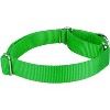 Country Brook Design Martingale Heavyduty Nylon Dog Collar and Double Handle Leash - 3 of 4