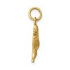 Black Bow Jewelry 14k Yellow Gold Arabian Camel Charm or Pendant - 2 of 4