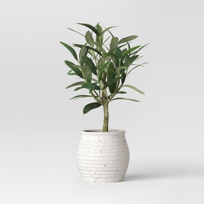 12" Olive Artificial Plant - Threshold™ designed with Studio McGee