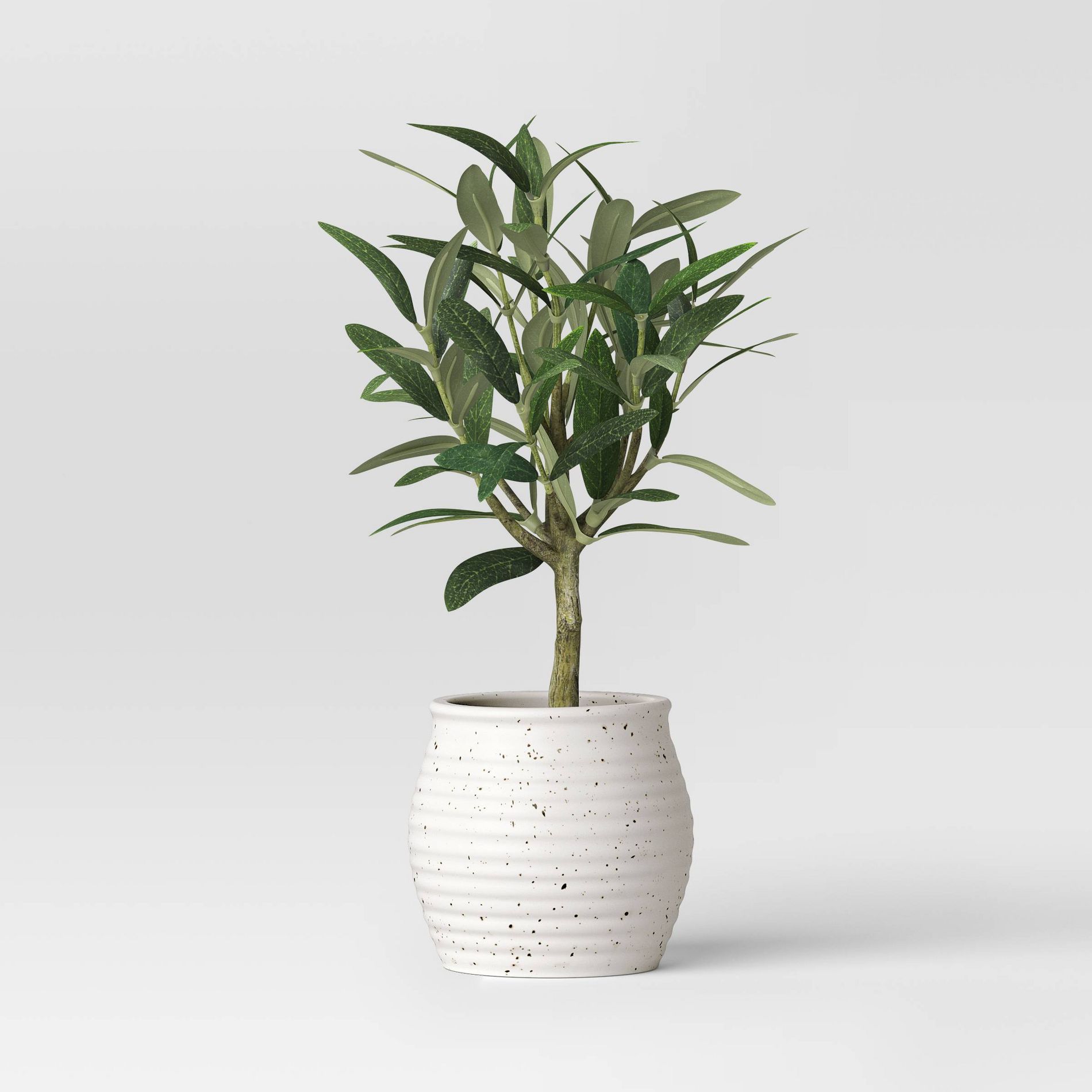 12" Olive Artificial Plant - Threshold™ designed with Studio McGee