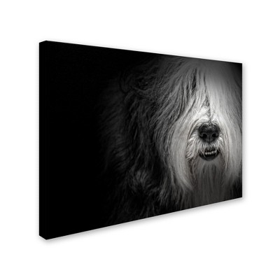 Trademark Fine Art -Lori Hutchison 'Sheepdog' Canvas Art