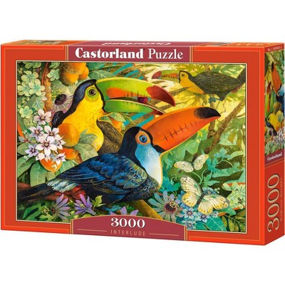 3000 Piece Jigsaw Puzzle, Interlude, Colorful birds, Toucans, Animal puzzles, Nature, Adult Puzzle, Castorland C-300433-2
