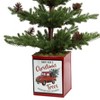 Haute Décor 24" Unlit Pine Artificial Christmas Tree with Pinecones in Painted Metal Pot - 2 of 3