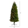 Nearly Natural 6-ft Slim Virginia Spruce Artificial Christmas Tree with 300 Warm White (Multifunction) - 2 of 4