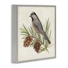 Stupell Industries Bird on Pine Tree, 12" x 12" - 3 of 4