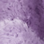 gradient - purple