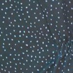 tropical garden border