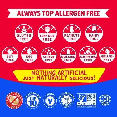 Allergy Smart Chocolate Chip Multipack - 200g/10ct