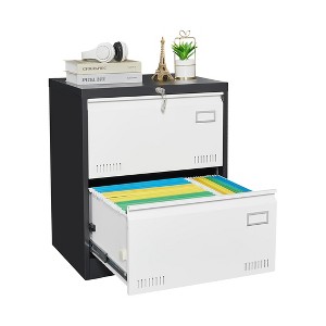 NicBex 2 Drawer Lateral File Cabinet with Lock,Under Desk Office Storage File Cabinet for Home Office Letter/Legal/A4/F4 - 1 of 4