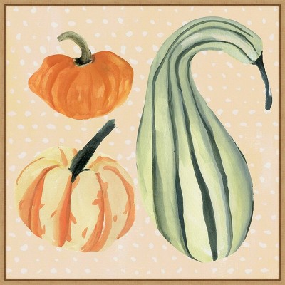 22" x 22" Decorative Gourd III by Annie Warren Framed Wall Canvas - Amanti Art