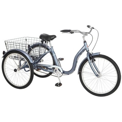 target schwinn meridian