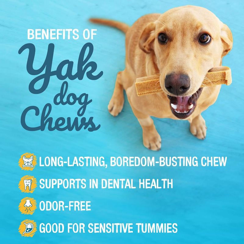 Pawstruck Premium Natural Himalayan Yak Cheese Chews for Dogs - Tough Long-Lasting Treat for Aggressive Chewers - Odorless Limited Ingredient, 2 of 10