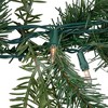Northlight Real Touch™️ Pre-Lit Blue Spruce Artificial Christmas Garland -  9' x 14" - Clear Lights - 4 of 4