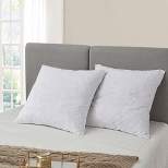 Euro 2pk Feather Bed Pillow - Serta