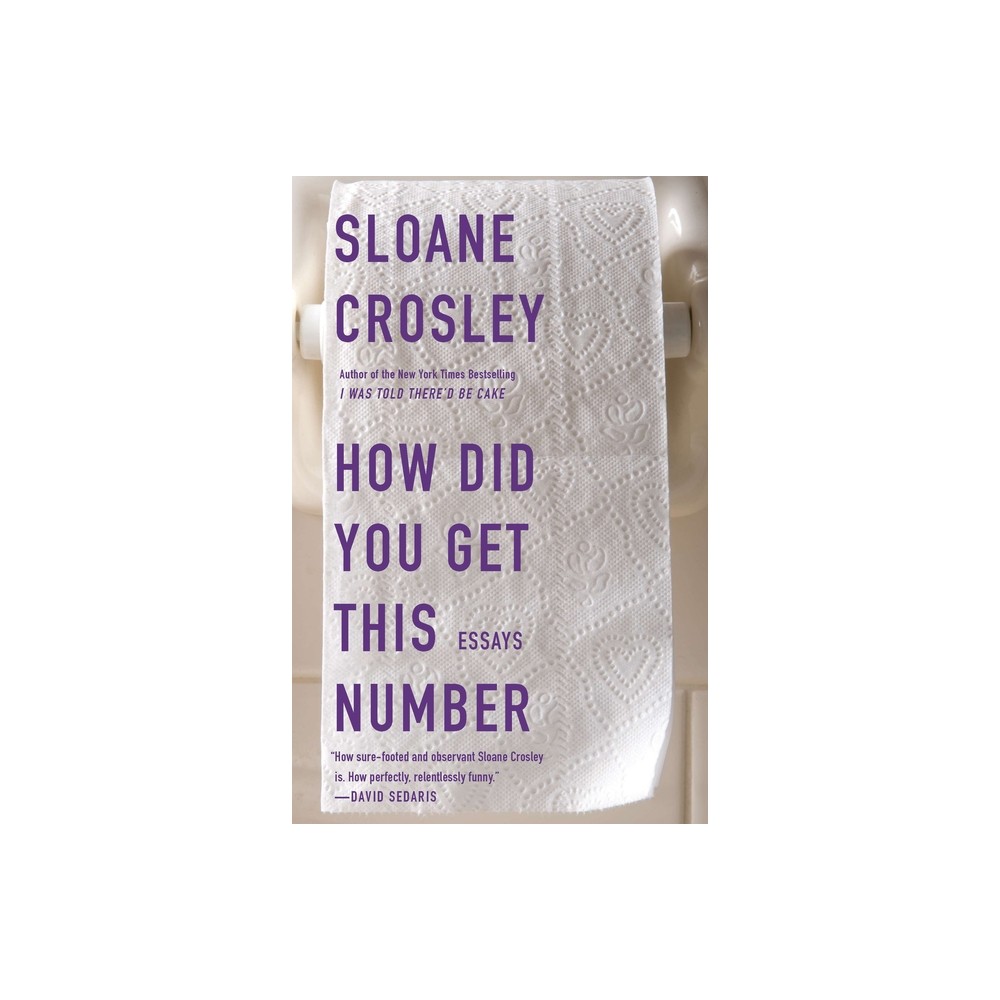 How Did You Get This Number - by Sloane Crosley (Paperback)