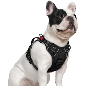 rabbitgoo Dog Harness Small Sized Dog, , Easy Walking Harness with 2 Leash Clips, Black, S - 1 of 1