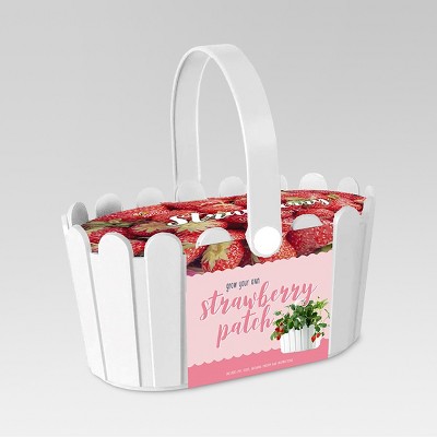 Strawberry Patch White Basket - Buzzy Seeds: Grow Kit, Full Sun, 90 Days to Maturity
