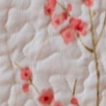 cherry blossoms