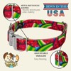 Country Brook Petz Premium Dog Collar - Tasty Collection - 4 of 4