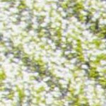 grey/green