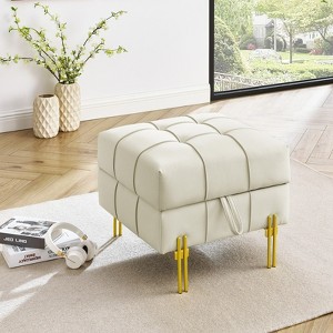 TiramisuBest 22 Inch Anti Scratch Leather Storage Ottoman Pet Friendly Entryway Bench Golden Stainless Steel Legs Tufted Top Multiple Colors - 1 of 4