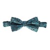 Gioberti Men's Formal 4pc Metallic Paisley Vest Necktie Bowtie and Pocket Square - 4 of 4