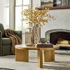 26" Golden Dogwood Artificial Fall Stem - Hearth & Hand™ with Magnolia - 2 of 3
