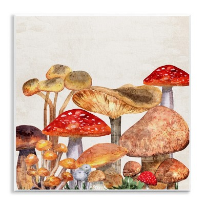 Stupell Industries Rustic Woodland Mushrooms, 12" x 12"
