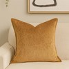 Kumasinova 20" Square Velvet Throw Pillows,Couch Pillows with Soft Luster&Rich Texture,Luxurious Decorative Pillows for Bed - 4 of 4