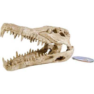 Penn-Plax Crocodile Skull Animal Resin Aquarium Decor for Fish Tanks