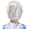 HalloweenCostumes.com One Size Fits Most  Women  Disney's Cinderella Fairy Godmother Wig, Gray - 2 of 4