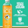 Sparkling Ice Orange Mango - 17 fl oz Bottle - image 3 of 4