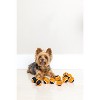 Midlee Orange/Black Mini Dog Halloween Tennis Balls- Set of 12 - 2 of 4