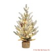 24 Inch Table Top Christmas Tree, Pre-Lit Snow Flocked Artificial Xmas Tree with 50 Warm White LED Lights - 2 of 4
