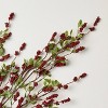 36" Red Winter Berry Artificial Stem - Hearth & Hand™ with Magnolia - 3 of 3