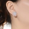 Guili Sterling Silver Star-Shaped Cubic Zirconia Stud Earrings, a Dazzling and Chic Representation of Celestial Elegance and Radiance - 3 of 4