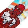 ODD SOX, Street Fighter 2 Characters Funny Crew Socks, Video Games, Assorted - 4 of 4