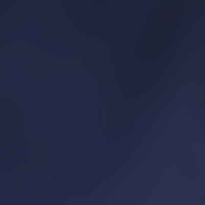 dark navy/pure slate