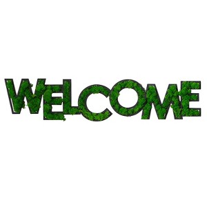 VisioGear WELCOME Letter Art Moss Wall Decor for Hallway Office Wall Decor, Green, 39.5"*8.7"*1.58" - 1 of 4